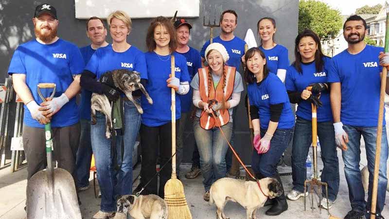 visa-volunteers